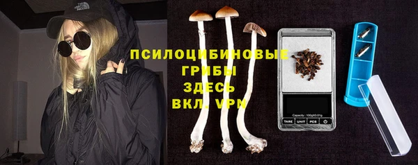 бутират Баксан